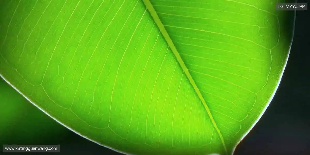 slider-1 Image